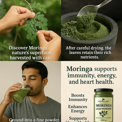 Moringa Leaf Powder