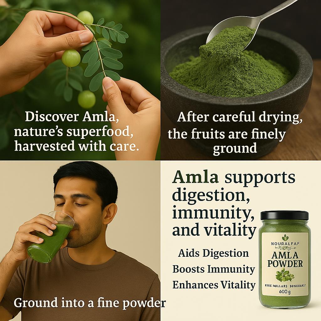 Amla Powder