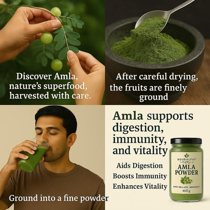 Amla Powder