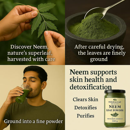 Neem Leaf Powder