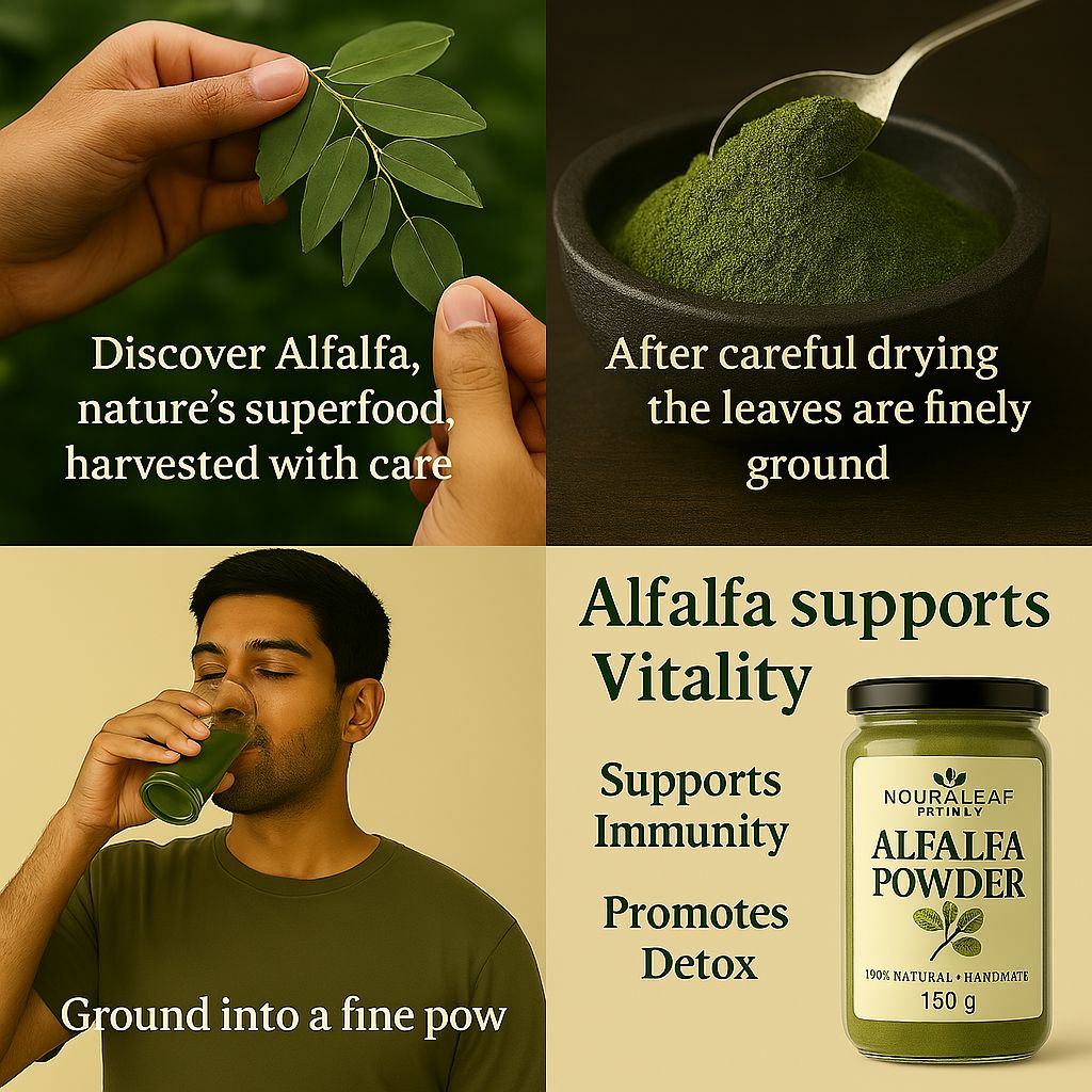 Alfalfa Powder