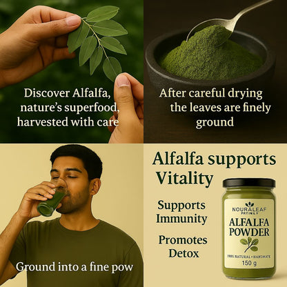 Alfalfa Powder