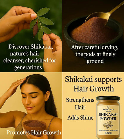 Shikakai Powder